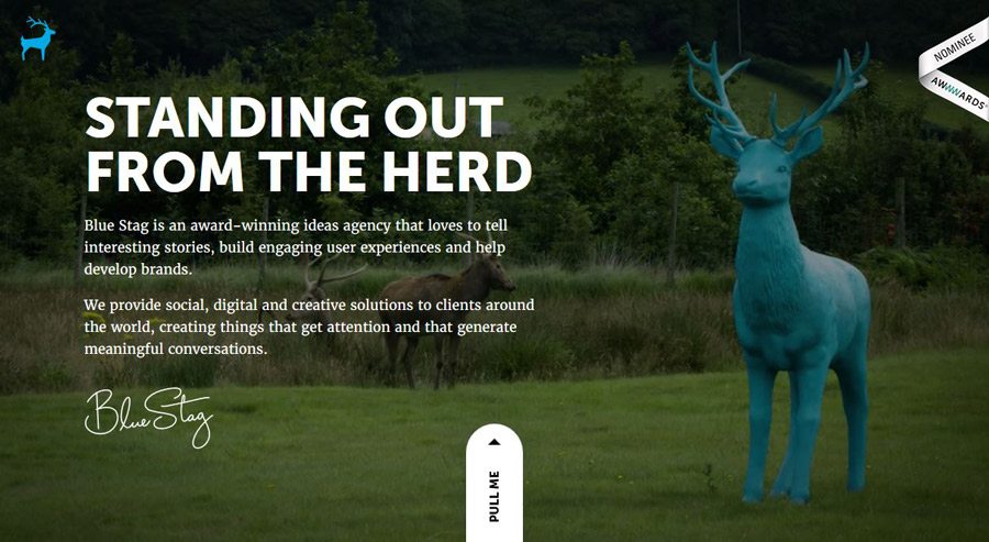 2016-2017網(wǎng)站設(shè)計(jì)15大流行趨勢預(yù)測 1477455586183077 2016-2017網(wǎng)站設(shè)計(jì)15大流行趨勢預(yù)測 bluestag