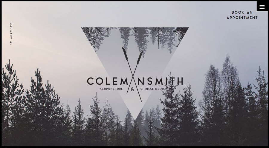 2016-2017網(wǎng)站設(shè)計(jì)15大流行趨勢預(yù)測 1477455593962648 2016-2017網(wǎng)站設(shè)計(jì)15大流行趨勢預(yù)測 coleman