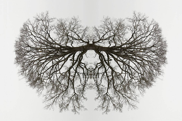 網(wǎng)站被惡意鏡像，您豈能袖手旁觀 timg (2)