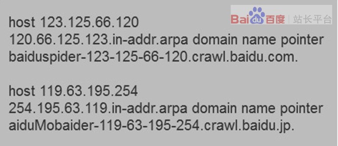 青島網(wǎng)站優(yōu)化-只需兩步，正確識別百度蜘蛛 1494033012142